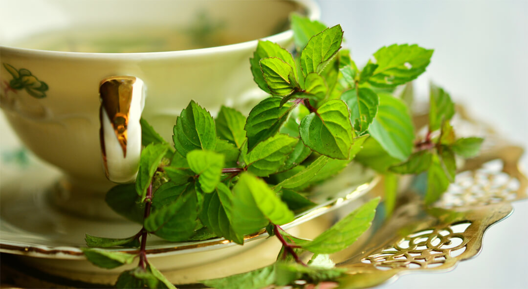 Dobrobit biljnih čajeva za zdravlje